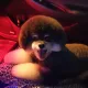 후후님