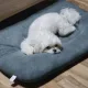 문문