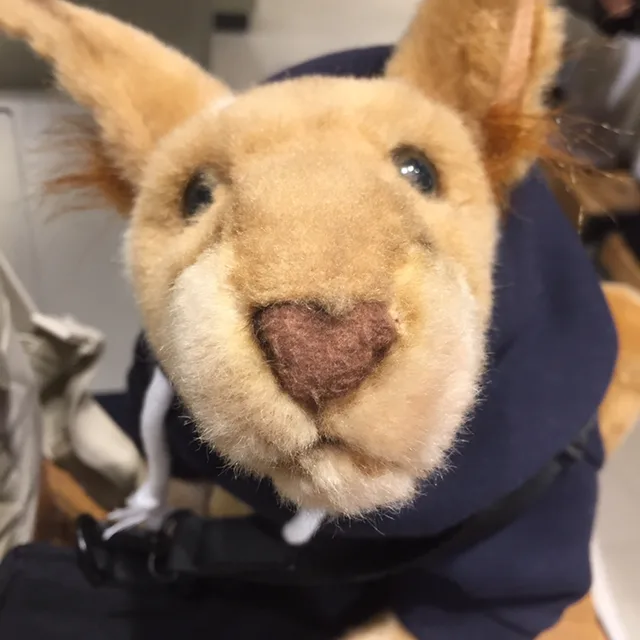 캥거루우