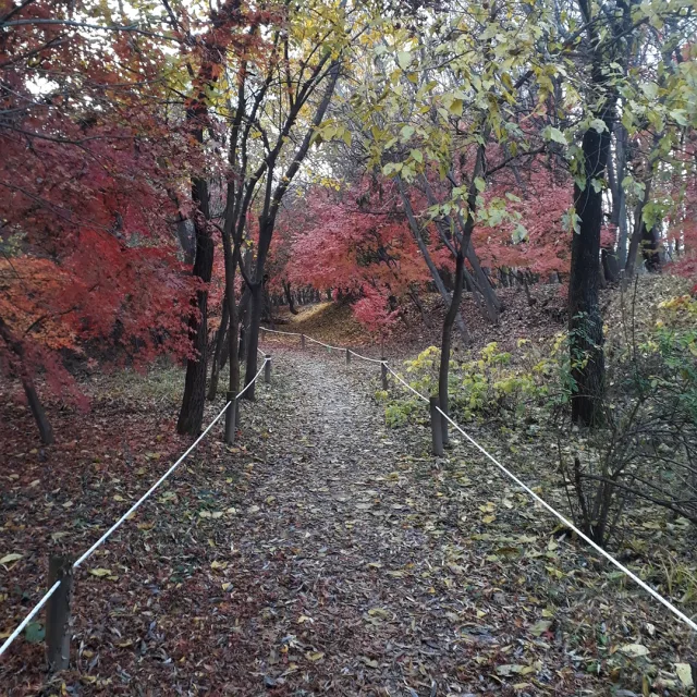 얼쑤