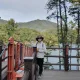 사랑이
