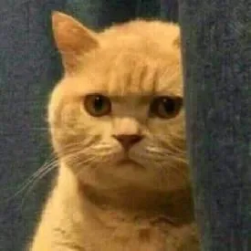 짱래피