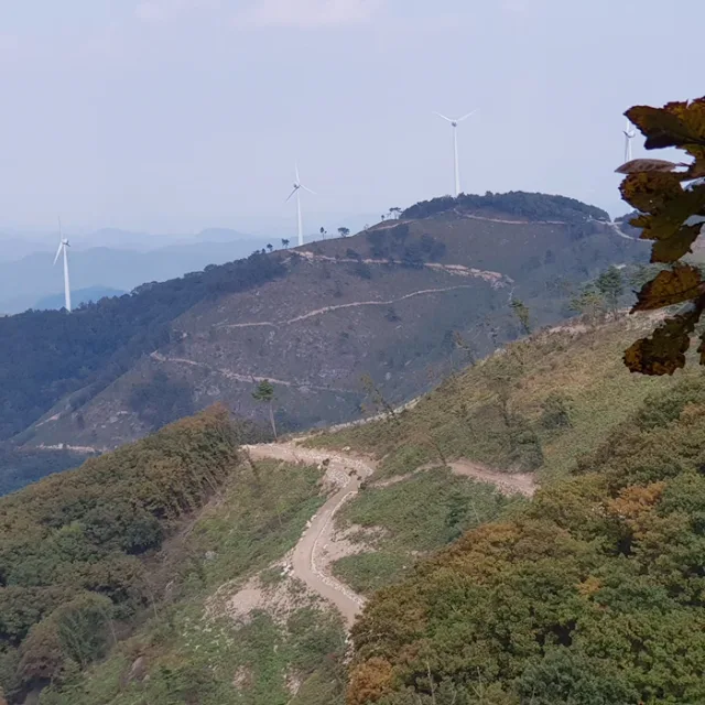 삶터