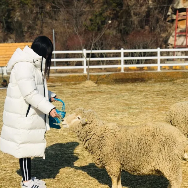 따따