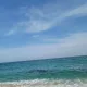 레이