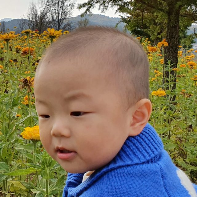 딴딴이엄마