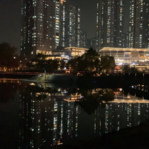 동타너