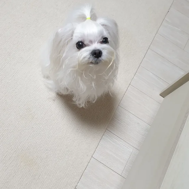 이쁜이