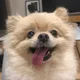 메롱이집