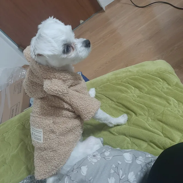 마리짜장