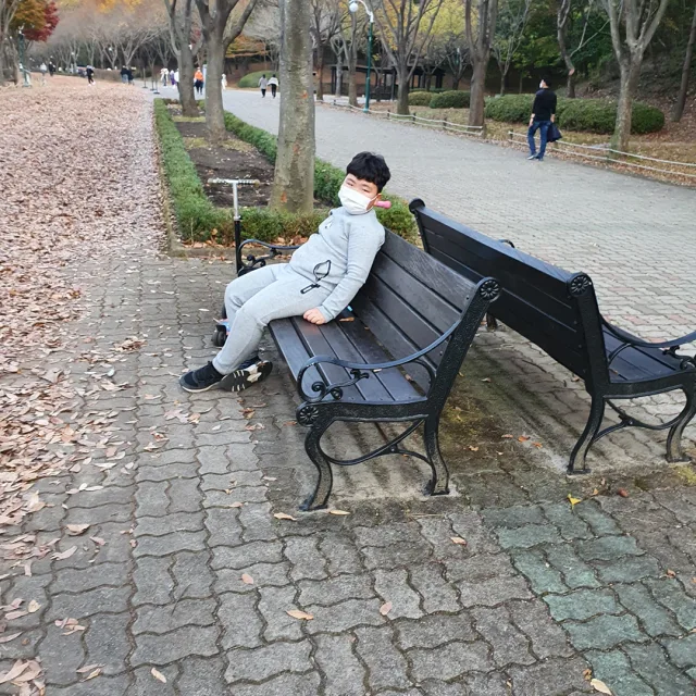 당근당근