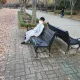 당근당근