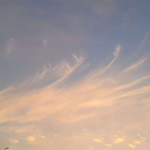 꽃피는노을