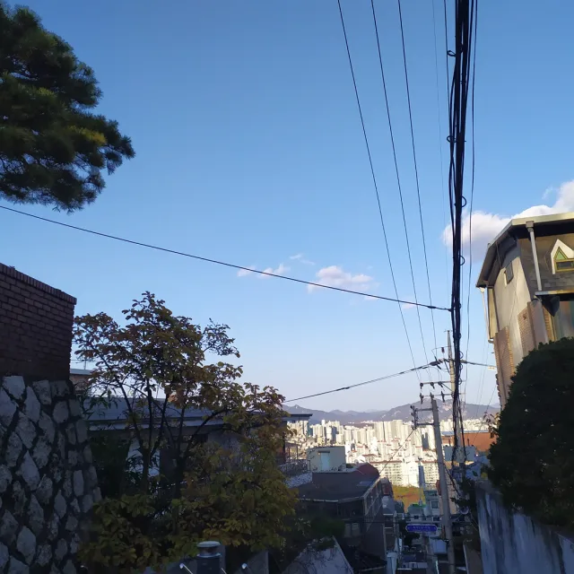 유지후