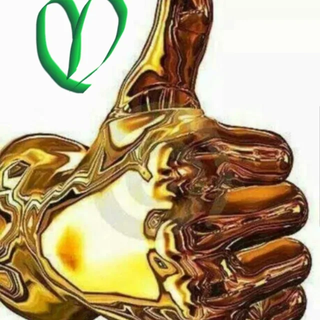 근언신행