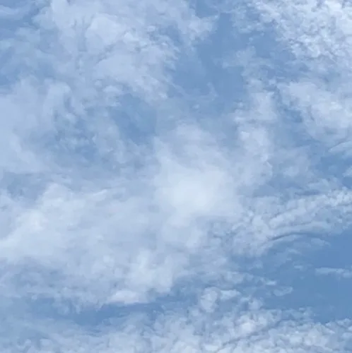 당근수세미