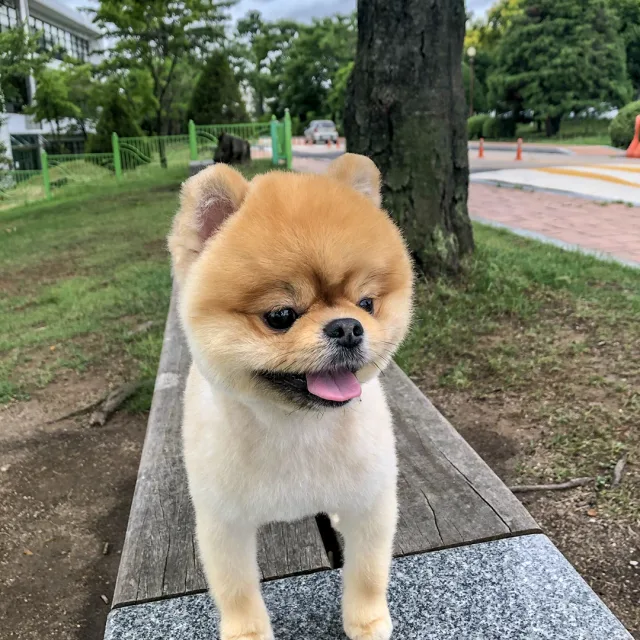 huni
