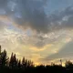 당근0228