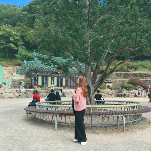 슈슈와딱지