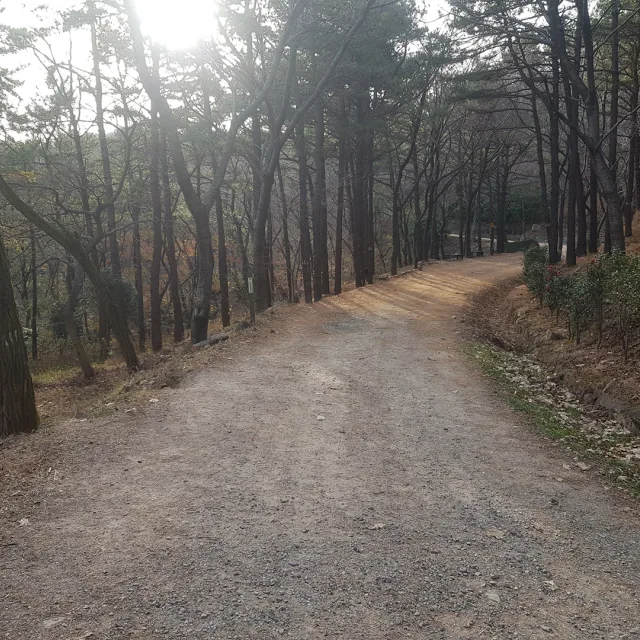 띠로리