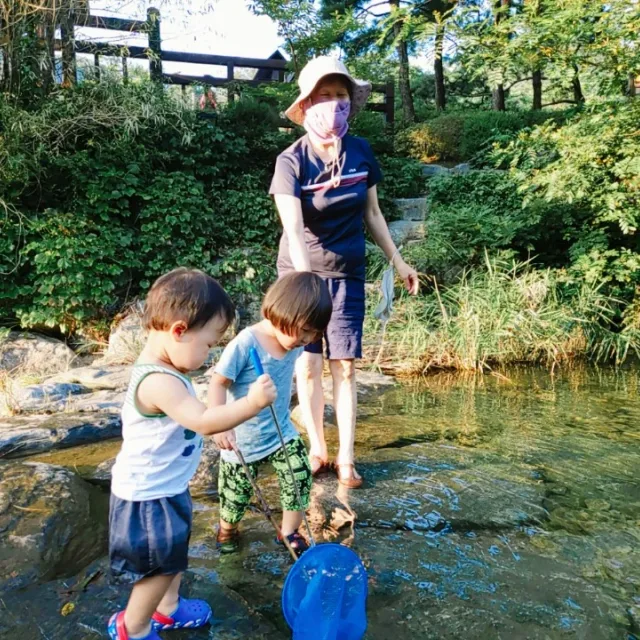 소나무