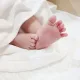 토끼는당근을좋아해