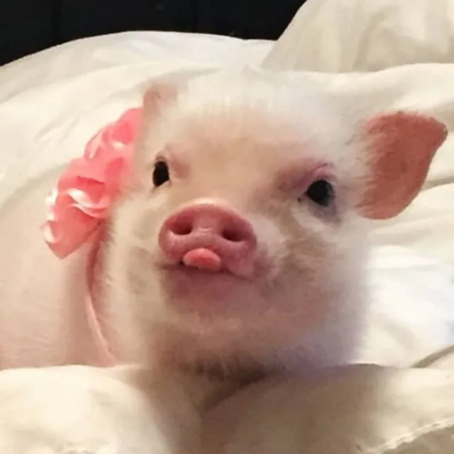 거래는재밌게