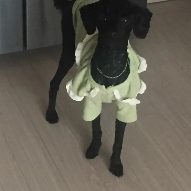 봉식이