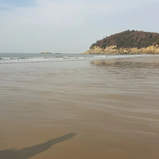 하늘바라기