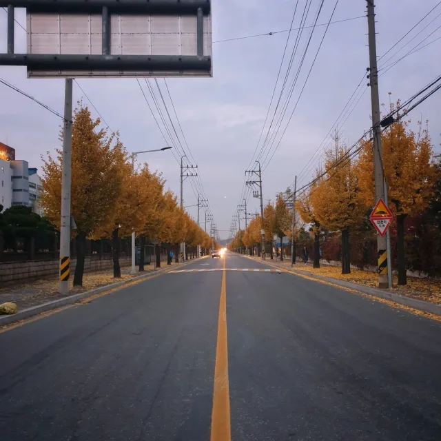 배고픈먼지