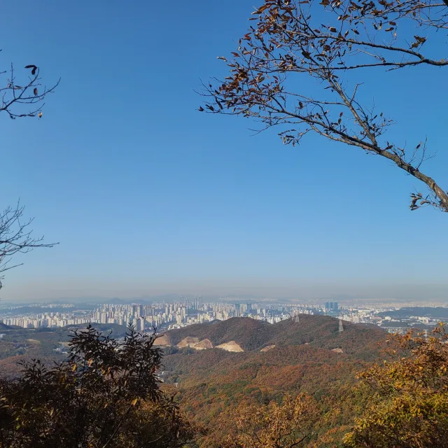 뛰뛰빵빵