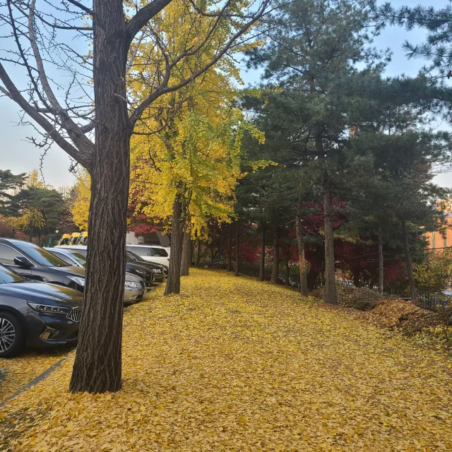 하나