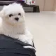 킴쓰