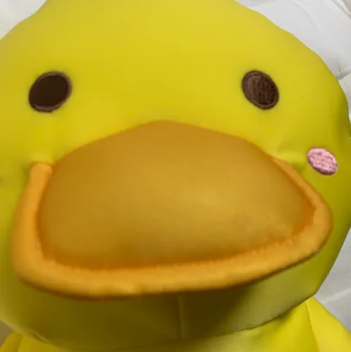 꿲꿱
