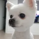 열혈토끼