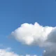 사라