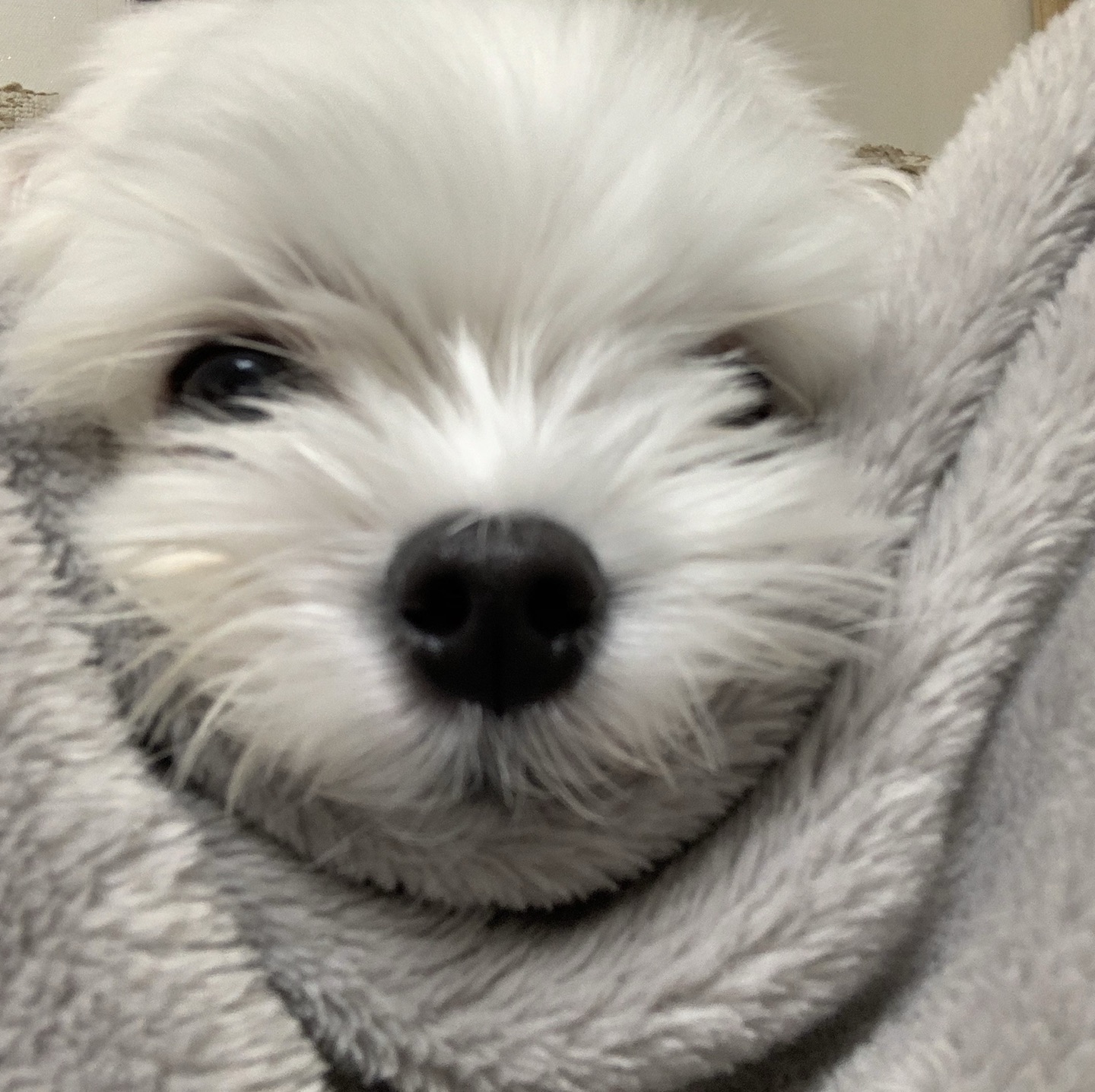 용용