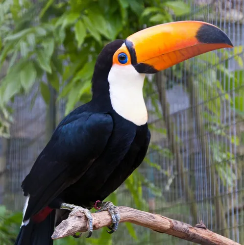 profile