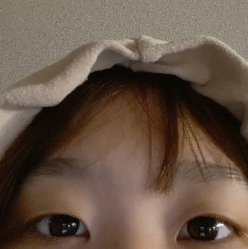 당그니당근