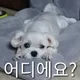 합합