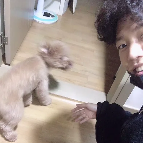 자메즈