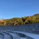 레몬