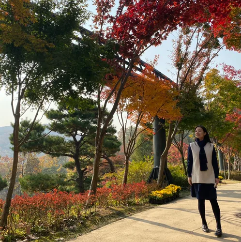 dorazy