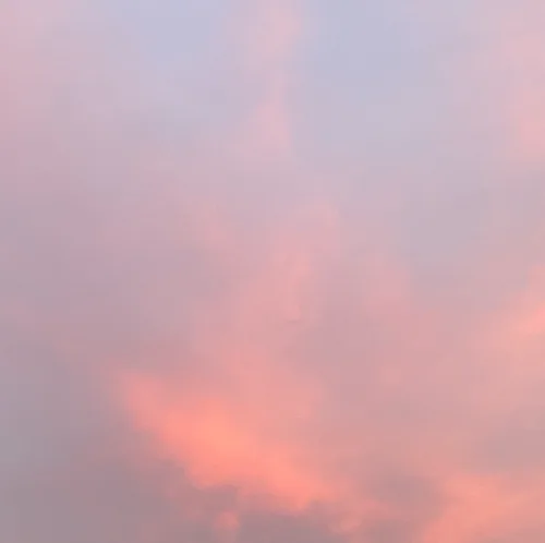 기린