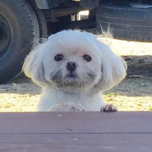 함뿍