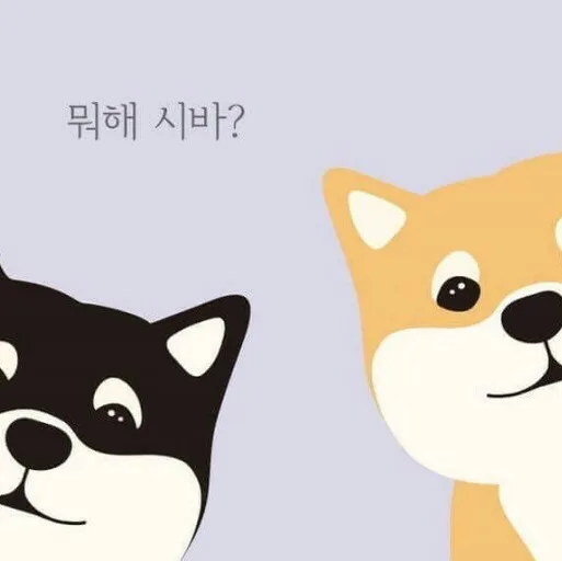 신밧드