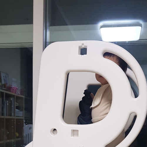 개미