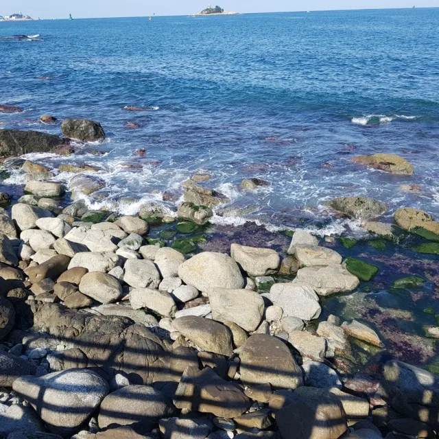 푸름