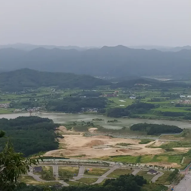 하늘채갈매기