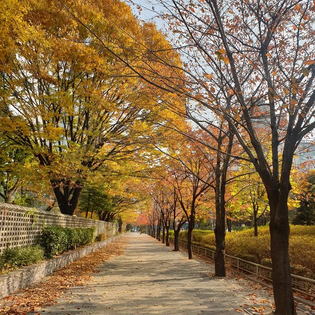 신가이버